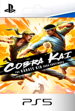 Cobra Kai The Karate Kid Saga PS5